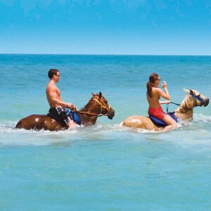 Horseback Riding Experience – $99 Per Person
